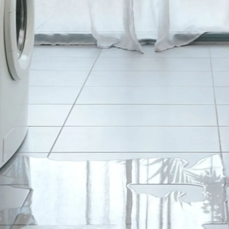 Appliance Leak Cleanup in Dallas, GA