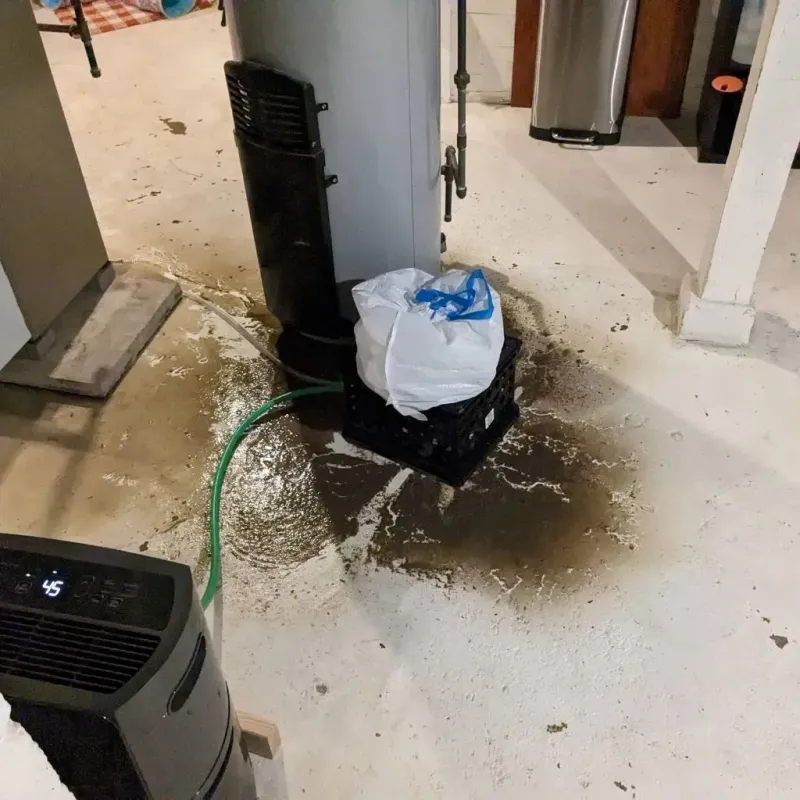 Sewage Backup Cleanup Service in Dallas, GA